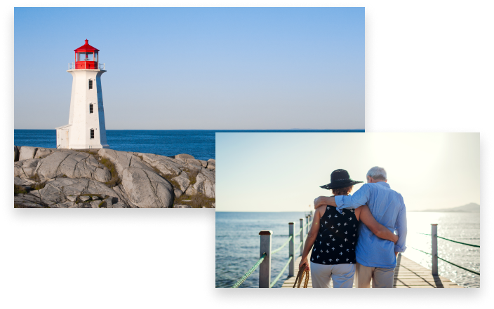 collage of images