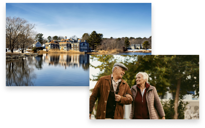 collage of images